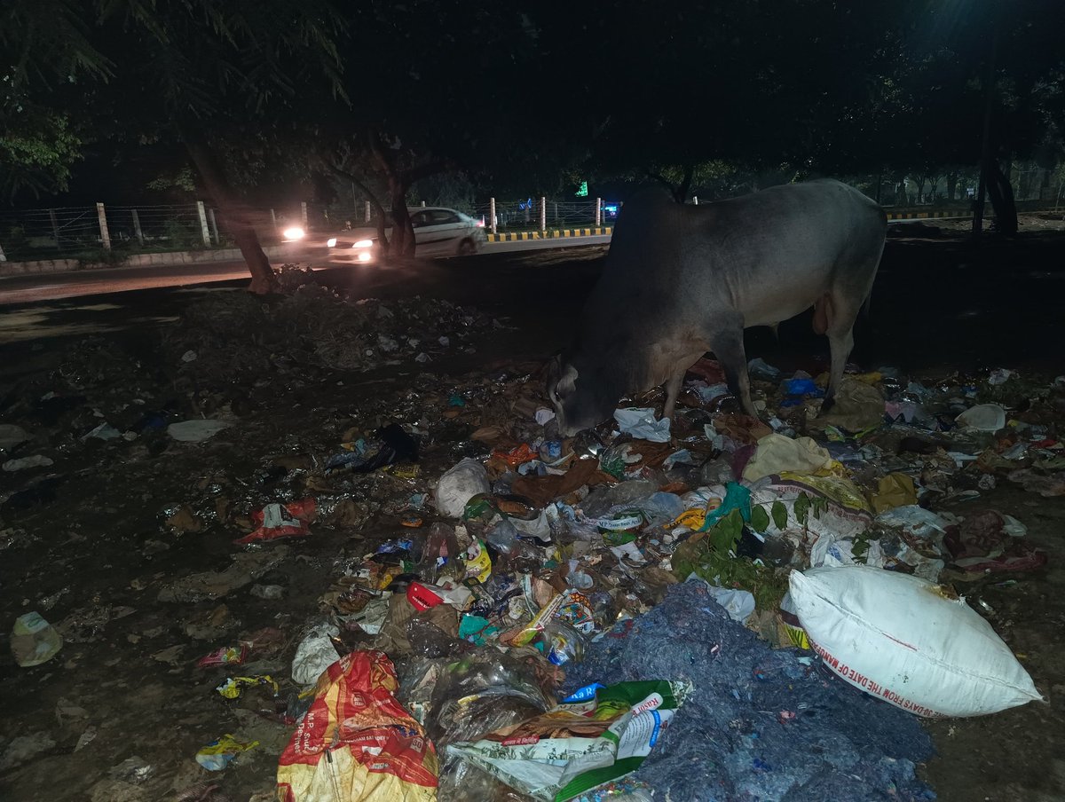 <a href="/OfficialGNIDA/">Greater Noida Industrial Development Authority</a> location - delta-1 , labour chowk, ye haal hai delta our delta ke bahar ka , na sector ke under safai na bahar