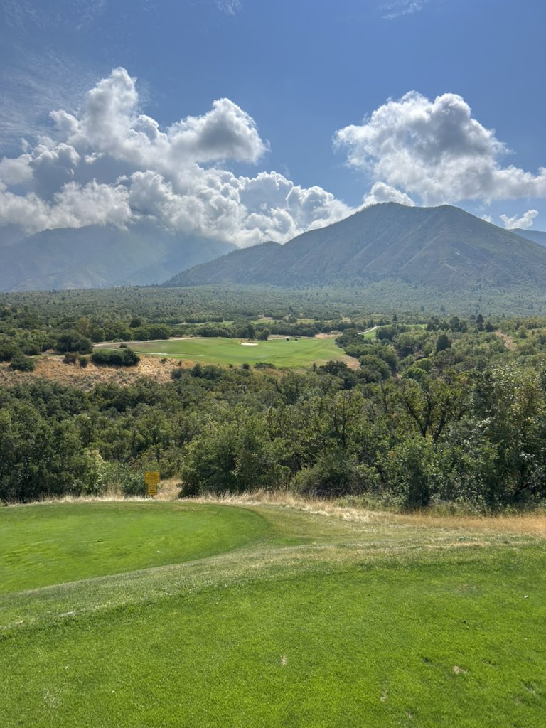 Yall mind if I get a lil action?