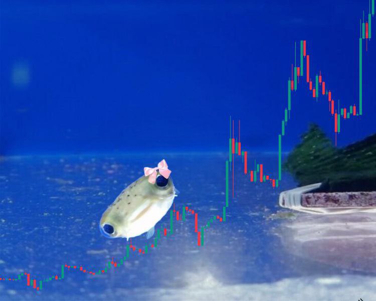 Aped $fish

Just a fish in a world of whales—trying to stay afloat while everyone else makes tidal waves. 

No superpowers, no giant splash… just a little guy swimming for his life, hoping he doesn’t end up as someone’s lunch. 

FBCAHTvAPGBu2FM3N4LiCP6qR19ovyoLN9JKaZq3pump