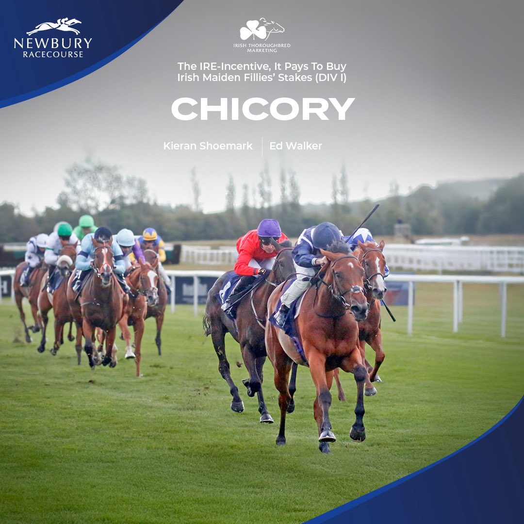 🏆 The IRE-Incentive, It Pays To Buy Irish Maiden Fillies' Stakes 🏆

🥇 Chicory
🥈 Tarot
🥉 Splish Splash

Chicory runs on gamely to win under Kieran Shoemark for Ed Walker 👏