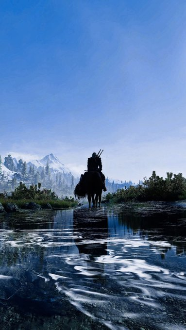 The Witcher 3  wild hunt ⚔️  #hunting #huntgame
