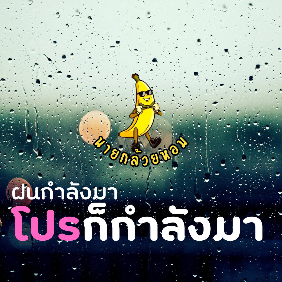 เตรียมตัวกันได้เลยนะครับ #กล้วยมาแว้ว🍌