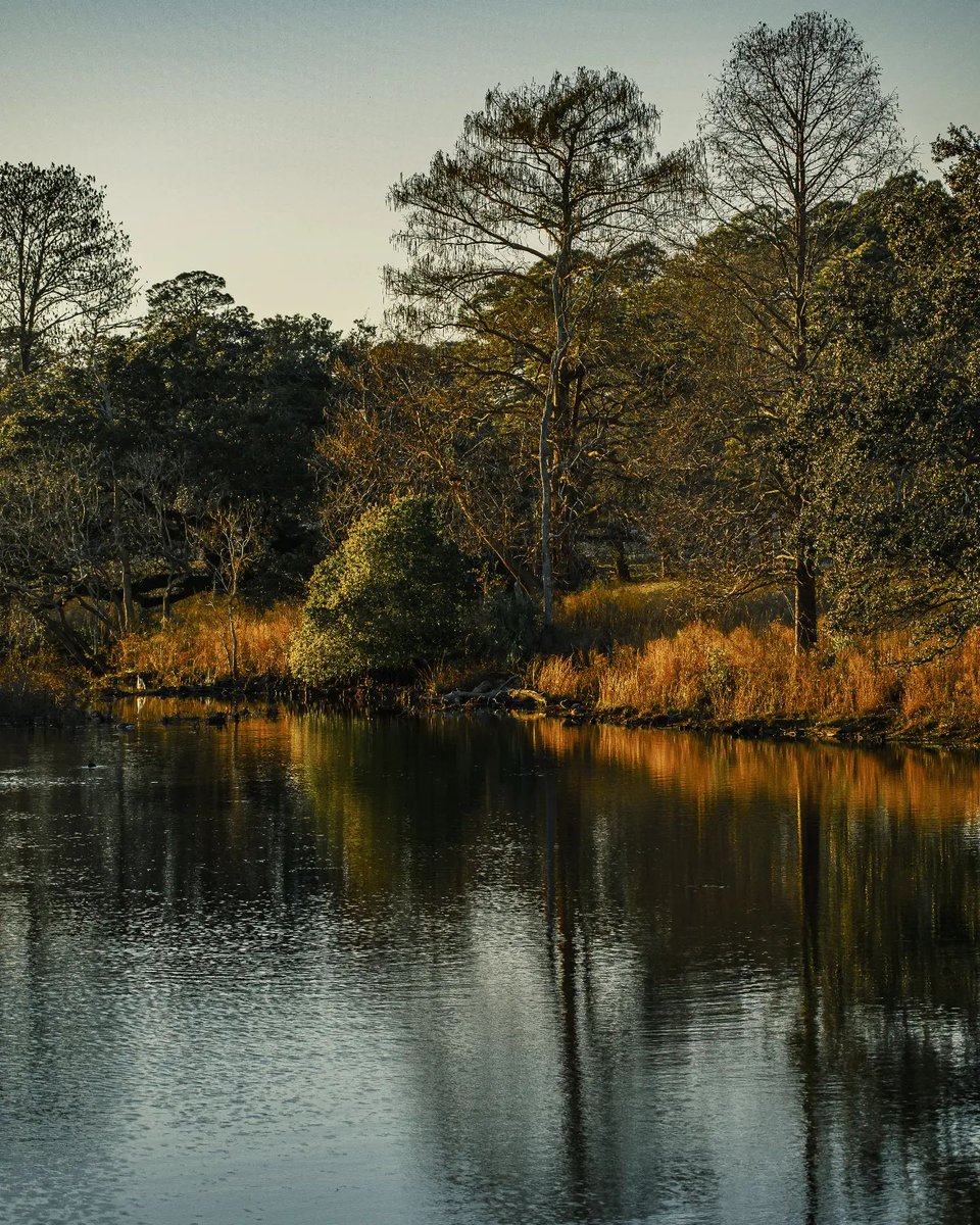 VisitMobileAL's tweet image. Looking forward to those fall breezes 🍂 #mobileal #visitmobile #fall #gulfcoast 

📸 byronwilmothphotography on IG