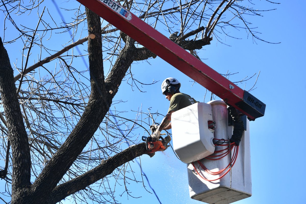 Vicente López tweet media