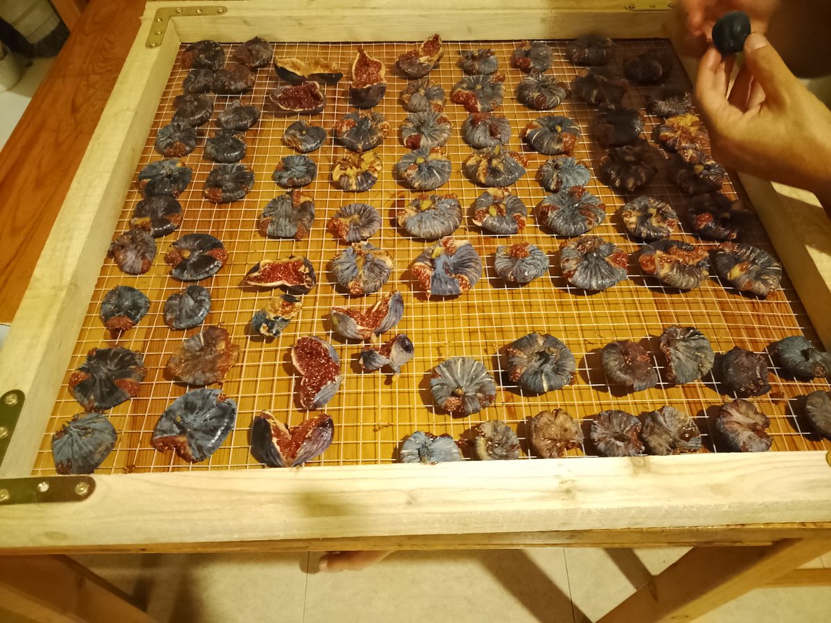 sotabosc tweet media