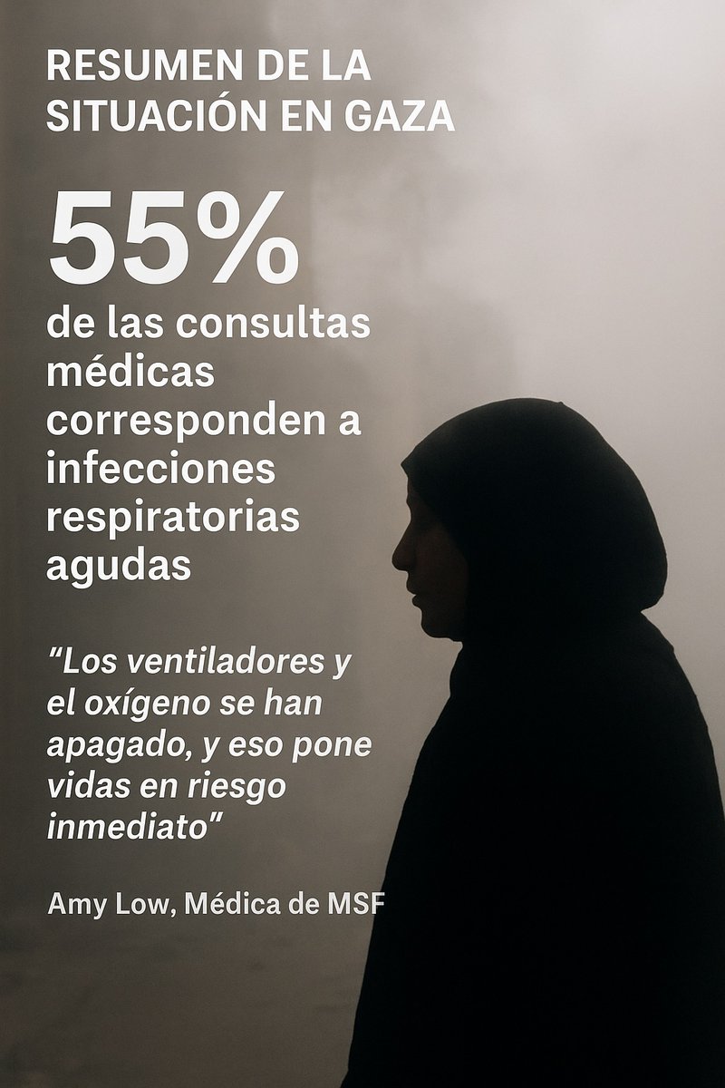 AlfonsMV tweet media