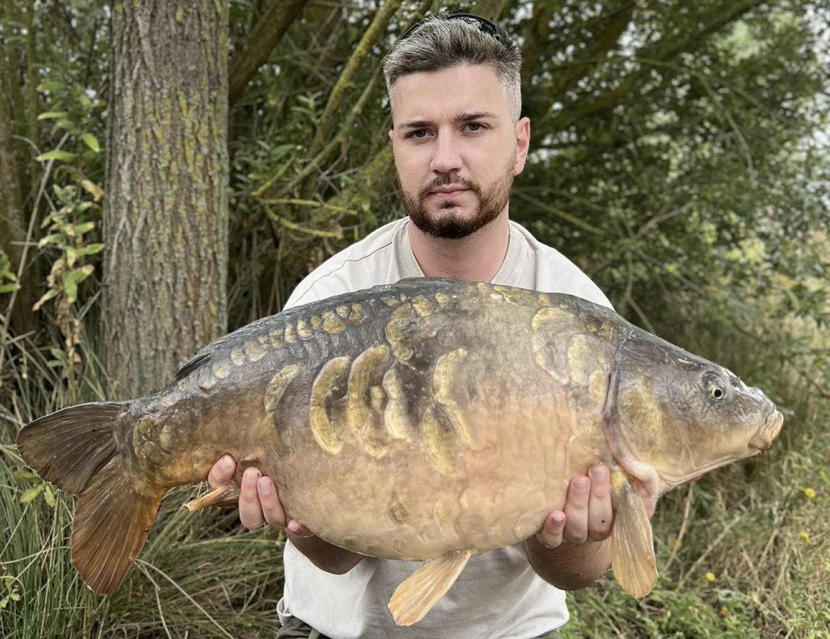 Bayeswater fisheries tweet media