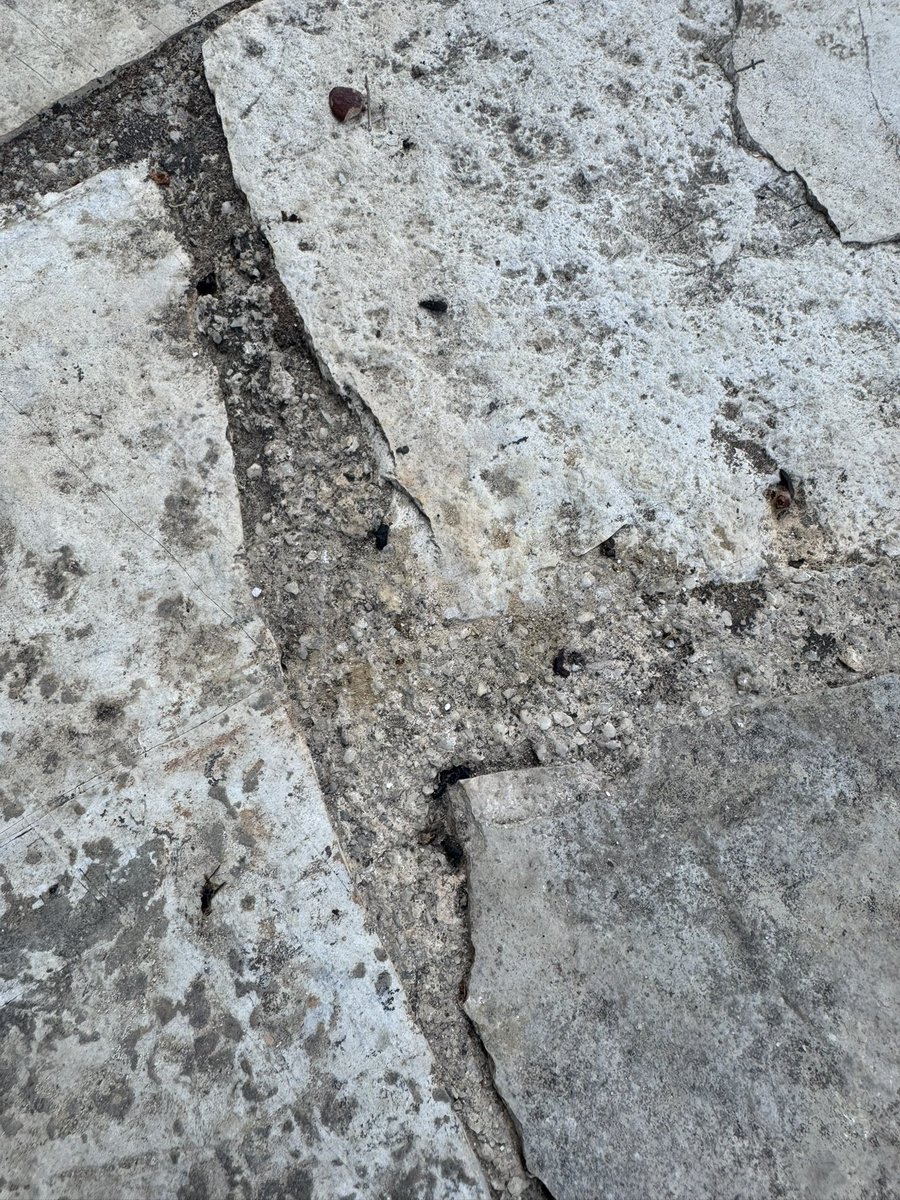 jamiegardenia's tweet photo. This wasn’t just inconvenience – it was a hygiene and safety risk. We had a walking one-year-old baby in our group, with sewage overflow on the driveway, rodent droppings, and open holes inside the villa grounds. https://t.co/0PCjhfEOYC