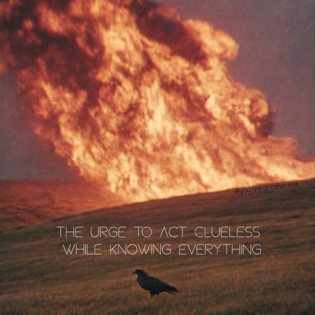 Adrian Dittmann (@adriandittmann) on Twitter photo 