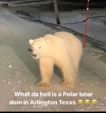 A.K.I VENEZUELA tweet media