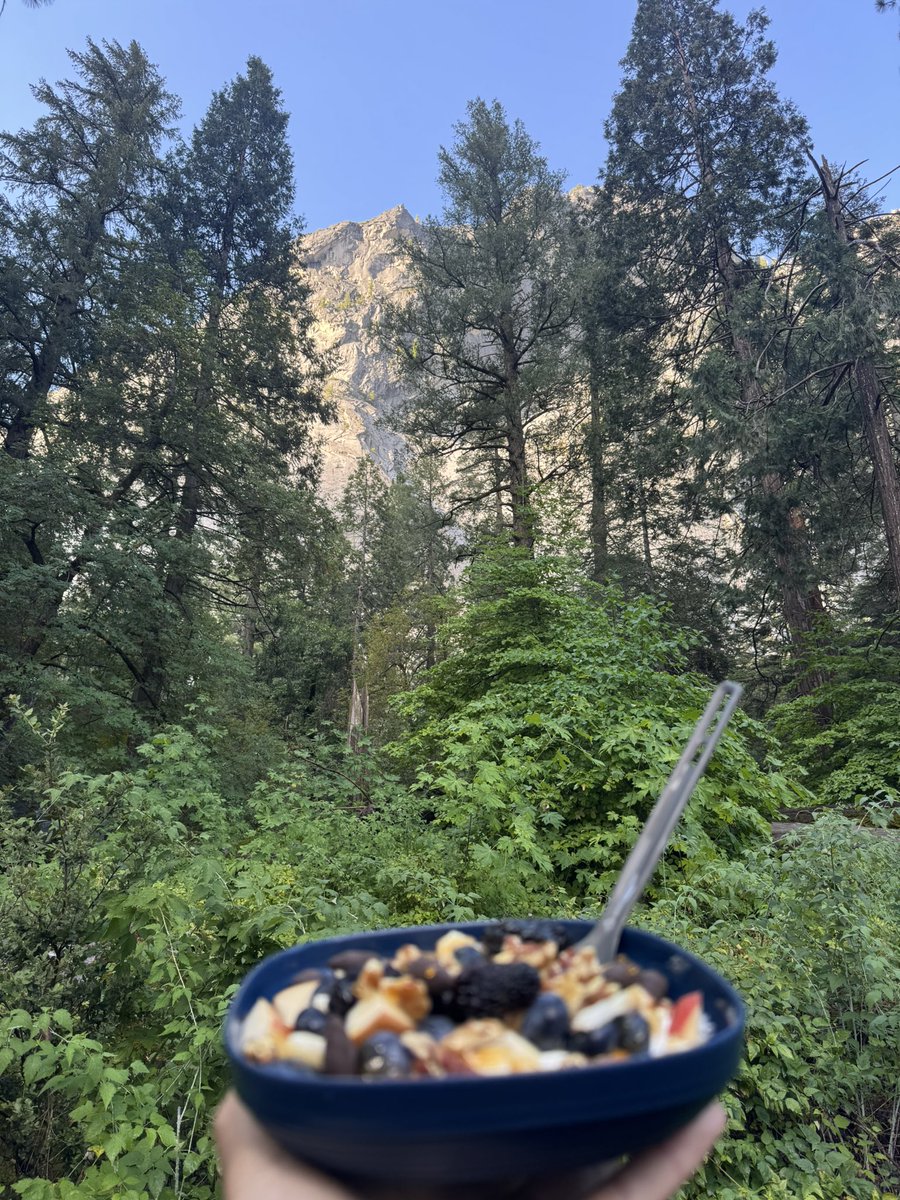 GM