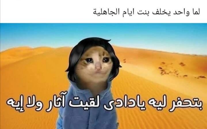 狼 KFO♚ (@kfo252) on Twitter photo 