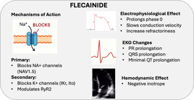 Flecainide in Structural Heart Diseases: A Contemporary Reappraisal Beyond the CAST Trial

heartrhythmjournal.com/article/S1547-…