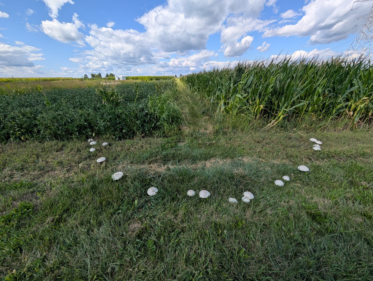 ACRE Purdue tweet media