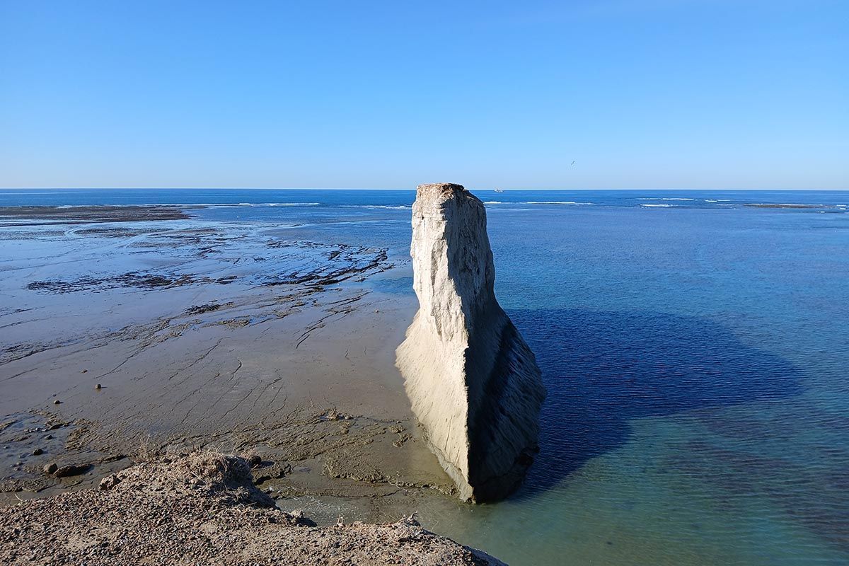 🇦🇷 Un recorrido para volver el tiempo atrás y viajar más de 50 millones de años en Comodoro Rivadavia

Además de palmeras del Paleoceno, presenta un paisaje marciano junto al mar, un faro cuadrado y un farallón en una travesía por la historia del Planeta.

✍️ <a href="/soniarutera/">sonia renison</a> |