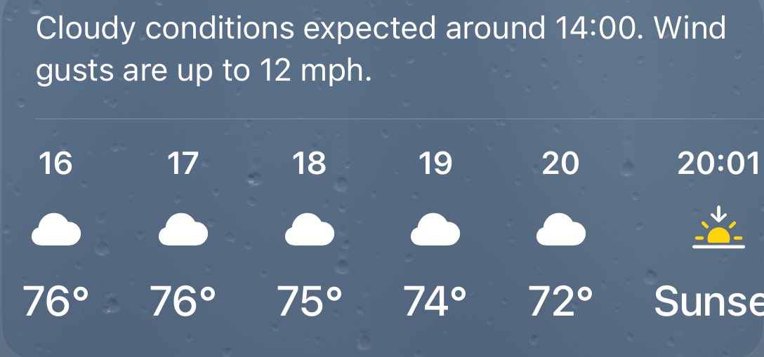 The sun has come out, it’s warming up! No more rain in the forecast, it’s football time 😤