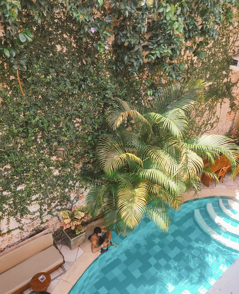 Mao tu (@gus1tweet) on Twitter photo 