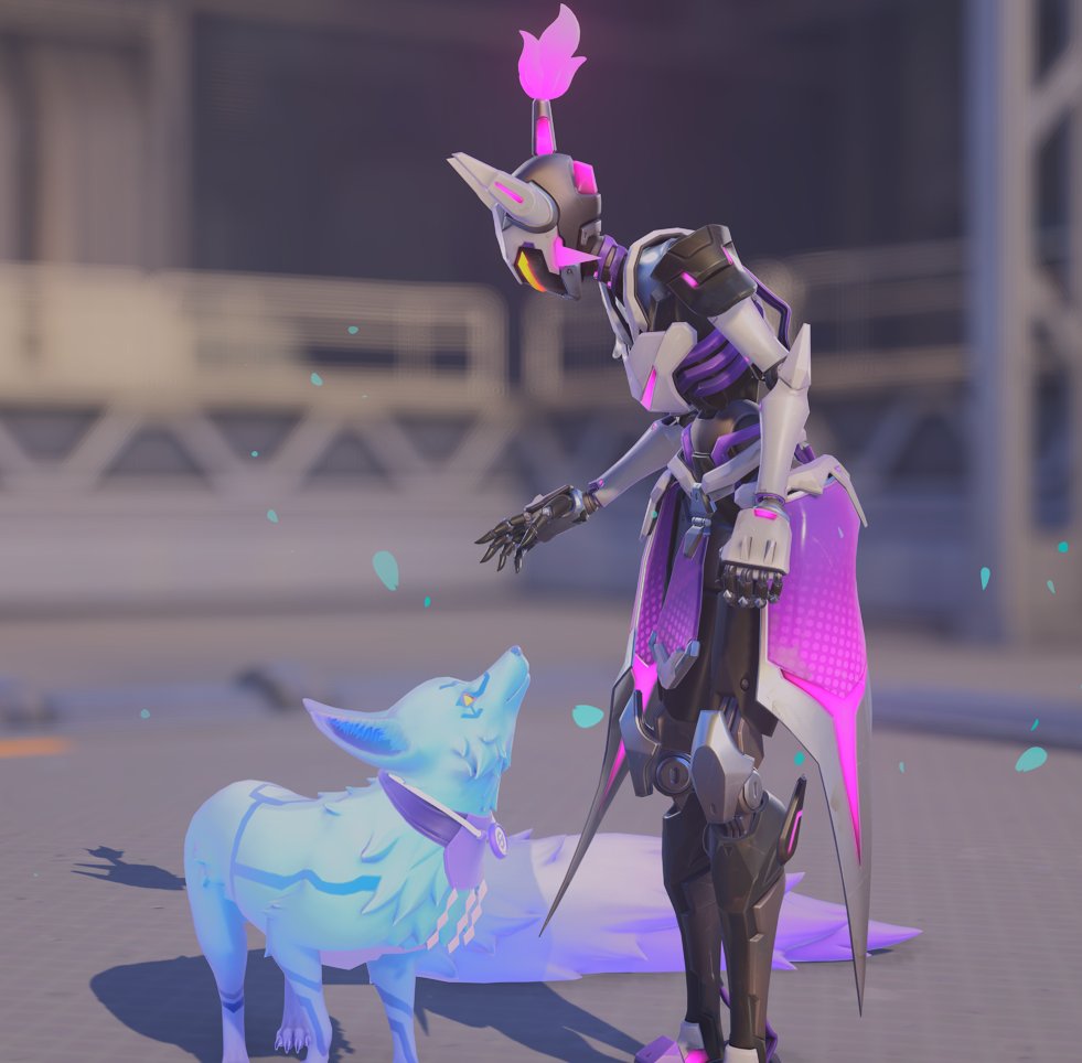 Sunny☀️ tweet media