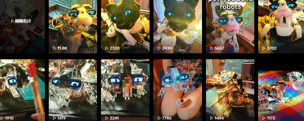 shamatte_bot's tweet photo. his girl has been working on an animatronic robot cat called "Catbot"  Similar to nosey but instead of it being a full robot, this one is an animal robot.   You can view through her tiktok and see different vids of her building it. Pretty cool

https://t.co/dfDzjEXnTs https://t.co/wBdW955wk4