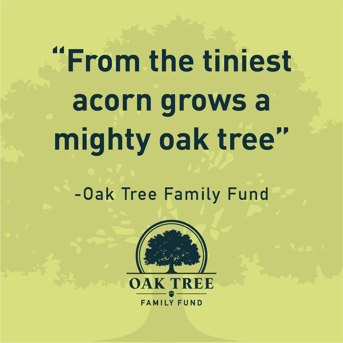 OakTreeFamFund's tweet image. “From the tiniest acorn grows a mighty oak tree.”
#FromAcornsToOaks #GrowingGood