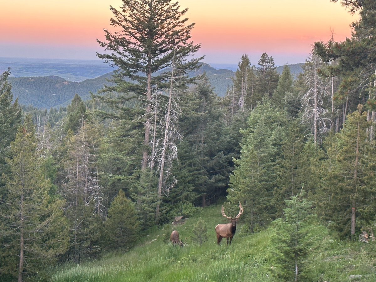 Kevin Root | Denver tweet media