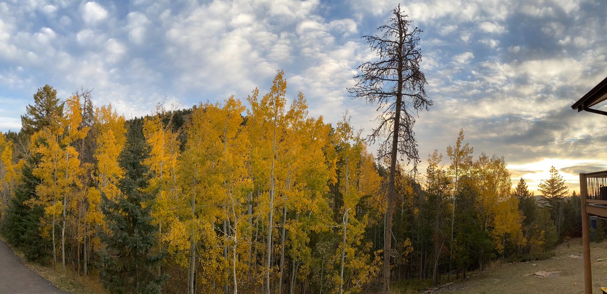 Kevin Root | Denver tweet media