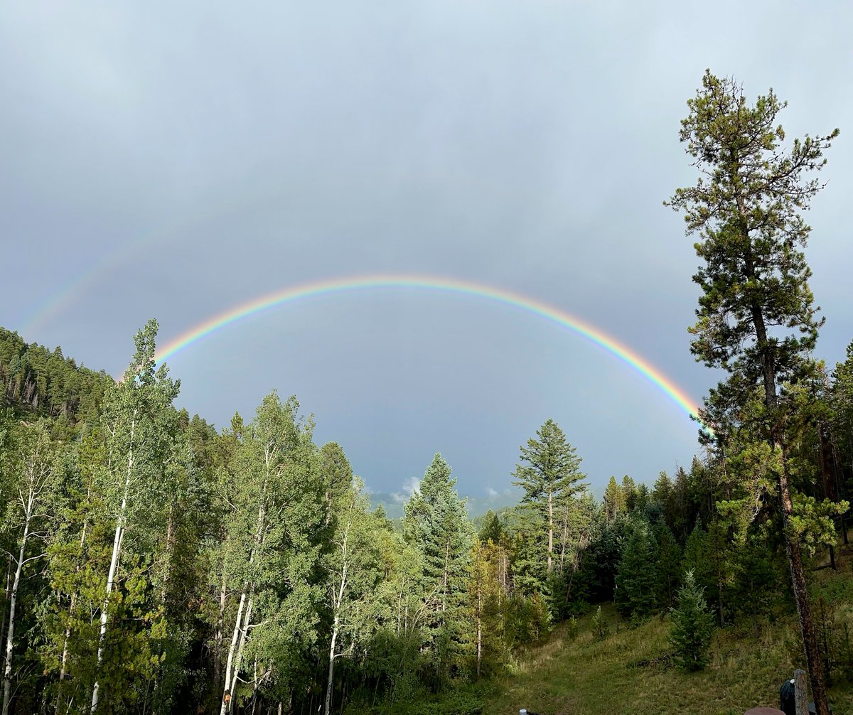 Kevin Root | Denver tweet media