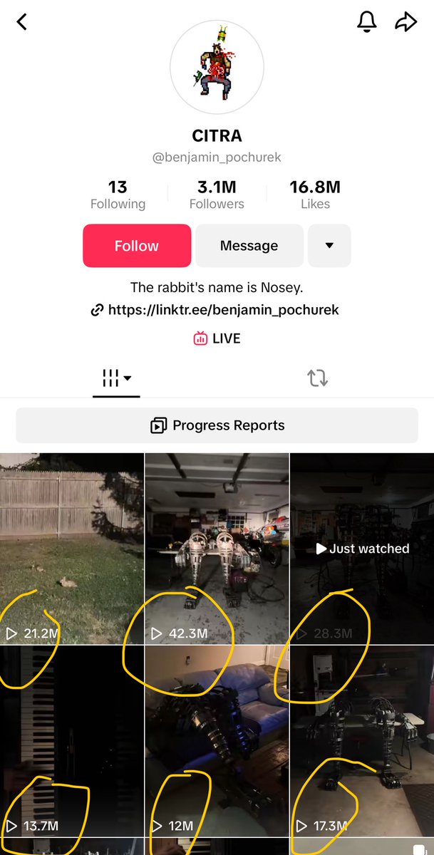 Dior100x's tweet photo. Views is important but sometimes doesn’t matter

but when it comes to the narrative for $nosey

It’s fucking ridiculous 

some nigga is building the TERMINATOR out there

the cto team redirected fees to him to help fund the robot (these niggas are fucking crazy)

can get silly https://t.co/1XZuTvt4Ck