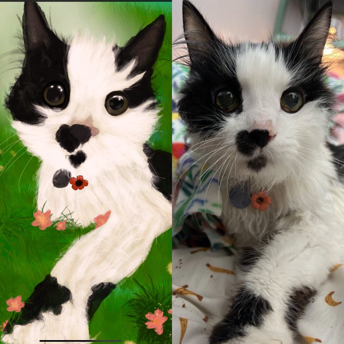 CelestiaLunaVT's tweet image. my very first pet portrait I’ve ever done! In memory of the sweetest girl Oreo🤍 

I hope you like it @oreoeocat 💕 thank you for sharing your babies with us! they brighten so many of our days🤍☀️✨ 

#digitalart #lunarisart