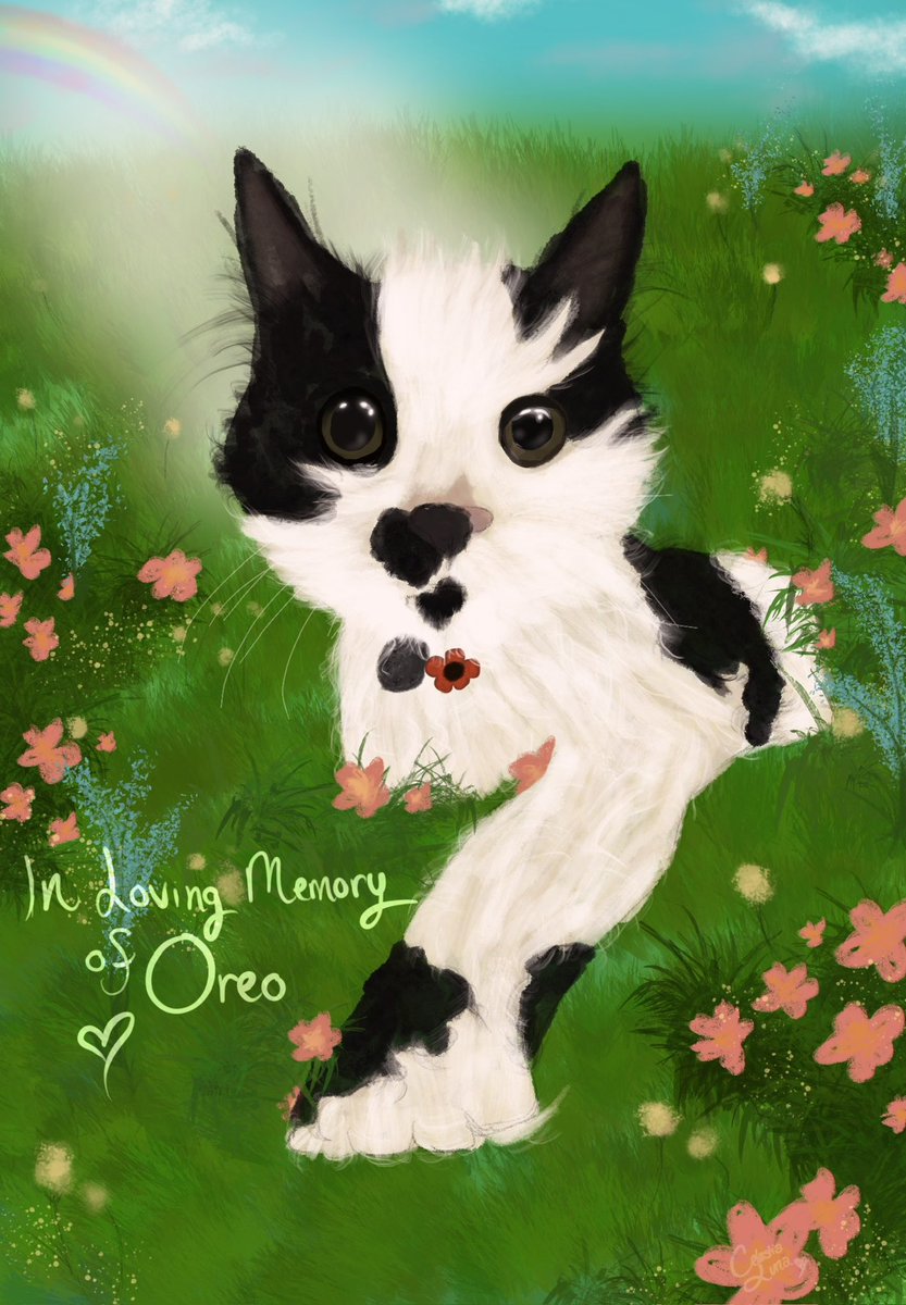 CelestiaLunaVT's tweet image. my very first pet portrait I’ve ever done! In memory of the sweetest girl Oreo🤍 

I hope you like it @oreoeocat 💕 thank you for sharing your babies with us! they brighten so many of our days🤍☀️✨ 

#digitalart #lunarisart