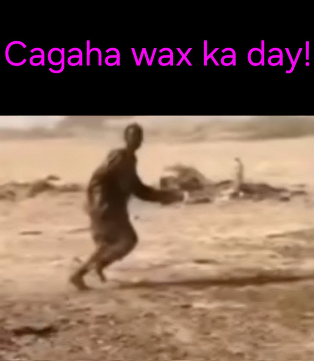 Apt illustration of a famous Somali idiomatic expression: