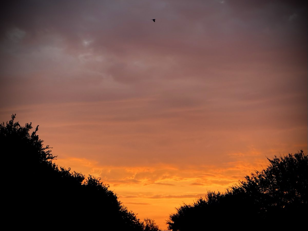 Roberto Garcia-Lago 💪 tweet media