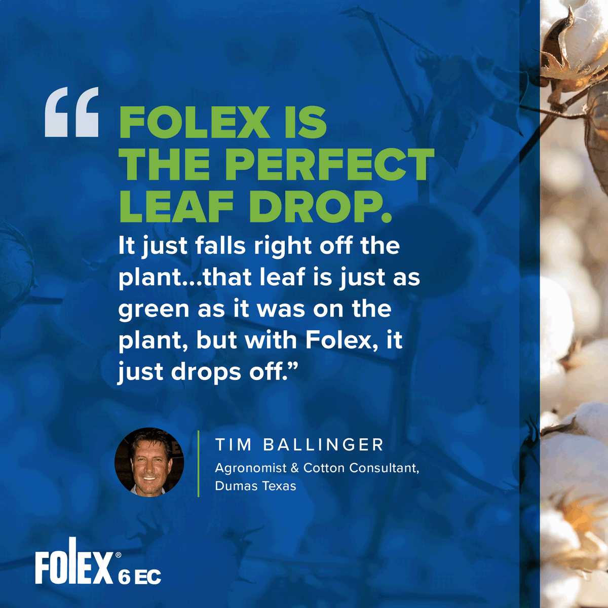 Count on Folex 6® EC Cotton Defoliant to ensure strong, effective mature leaf drop. Trusted by cotton consultants, Folex helps you achieve a higher grade of quality and accelerate the harvest process. 

Learn more: amvac.com/campaigns/cott…