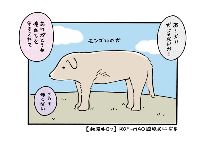 モンゴルの犬かわいい 