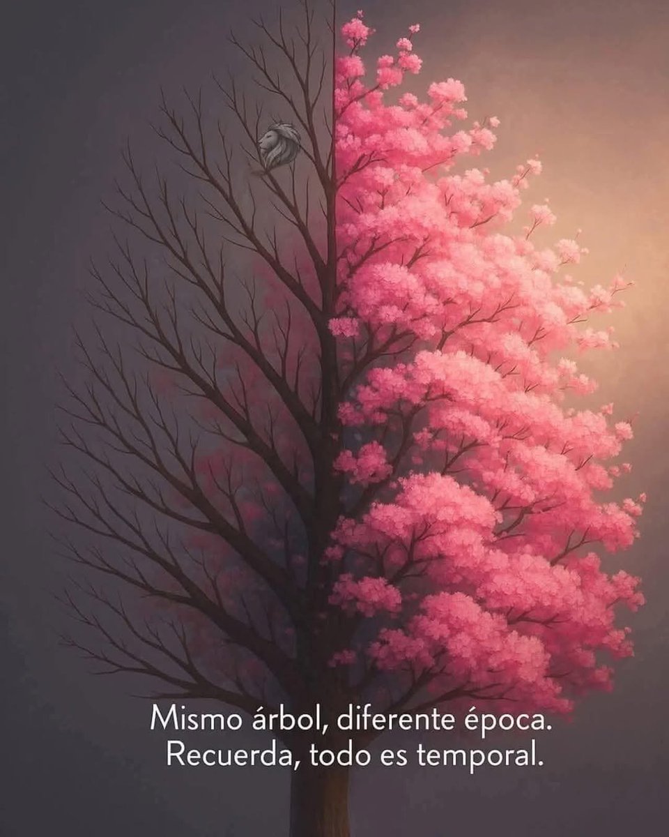 Salvo la esencia, todo es temporal