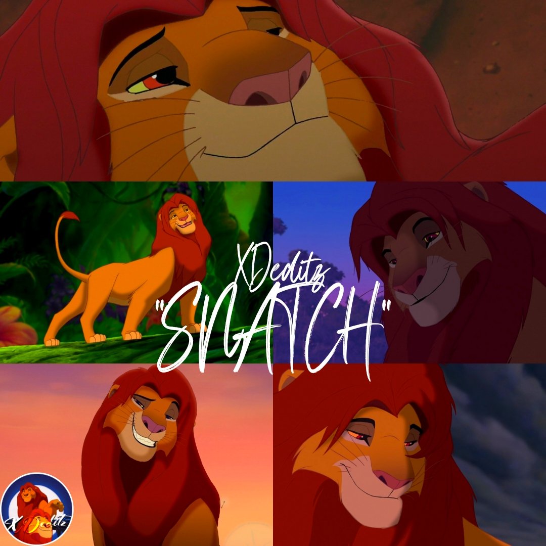 The Lion King Fan Account (Bi🏳️🌈) tweet media