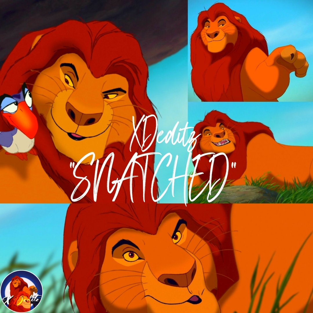 The Lion King Fan Account (Bi🏳️🌈) tweet media