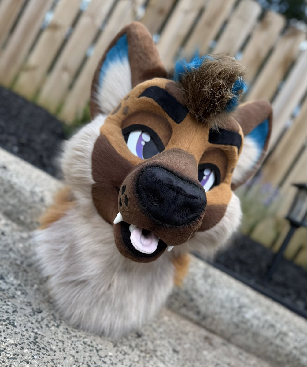 BlueHarborC's tweet image. If a hyena is laughing you know something’s gotta be funny. 

Ha-Ha‼️ the Hyena will be 👀🏠 this weekend at Megaplex, table C2.
