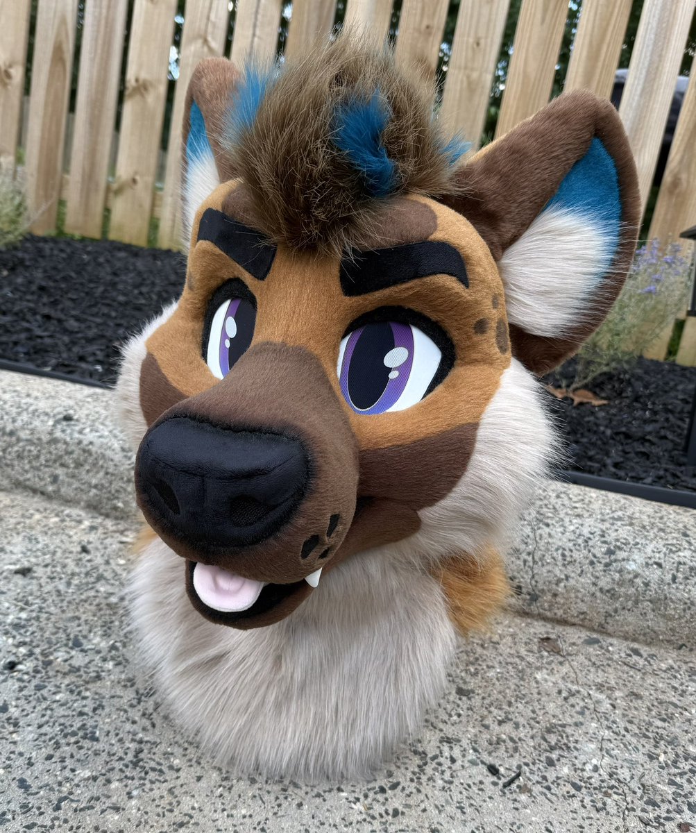 BlueHarborC's tweet image. If a hyena is laughing you know something’s gotta be funny. 

Ha-Ha‼️ the Hyena will be 👀🏠 this weekend at Megaplex, table C2.