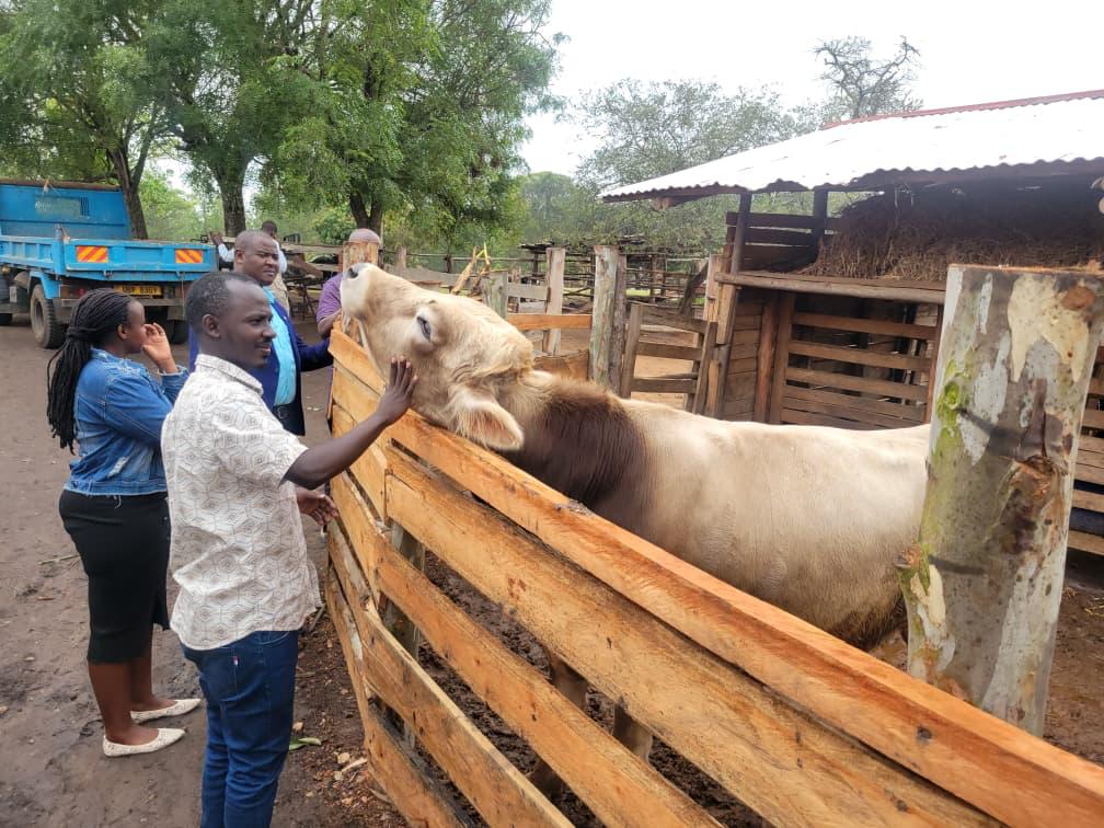 Agriculture is not only about farming but its about passion for what you do everyday on the farm . My love for these creatures is rooted wayback since birth 💙 ❤️