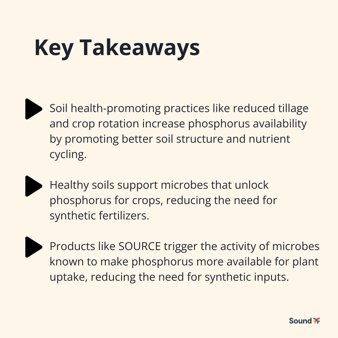 Seeing purple leaves? 🟣 It might be more than a visual quirk—it could signal a phosphorus deficiency.
Learn how to spot it early, confirm the cause, and adjust your fertility plan:
bit.ly/4l3OxvO
#PlantHealth #PhosphorusDeficiency #CropNutrition