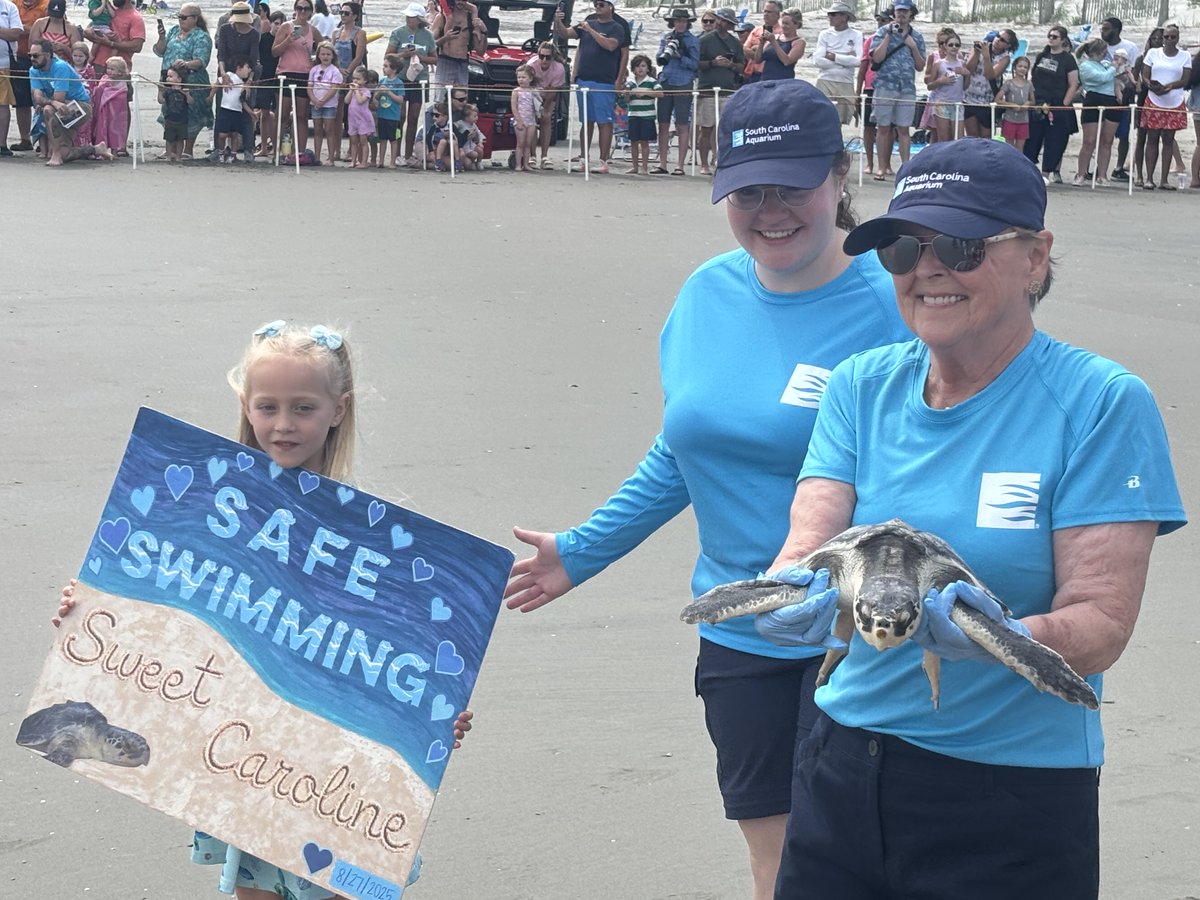 Paul Fischer tweet media