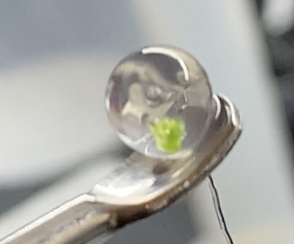 Some fun in the lab with the homie <a href="/Lowkey_Hightek/">Lowkey Hightek</a> . Cleaning the whole library. Working with the best in the game.  Lets goooo!!