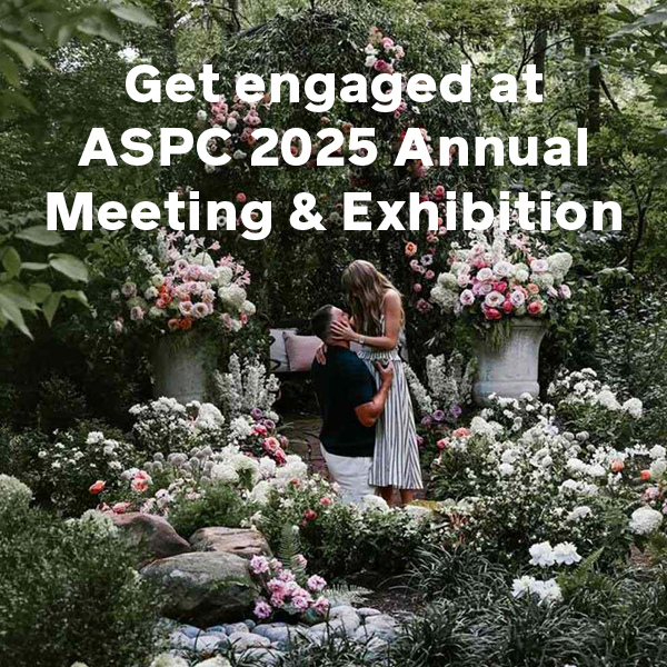 ASCPharm's tweet image. Because when you’re engaged in your profession, the future looks Taylor-made for success. 🎶

Join us in San Diego in just a couple of months! | October 23-26, 2025

#RidingTheWaveOfChange #ASCP2025 #PharmacyLoveStory

🔗: ow.ly/3EIE50WNHHt