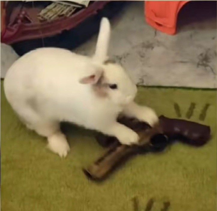 Por otro lado seguiré en esta cuenta en lo que terminó la otra (seguiré roleando y así pero tal vez no vaya a estar tan activo ya me demore mucho en otros temas además de las cuentas