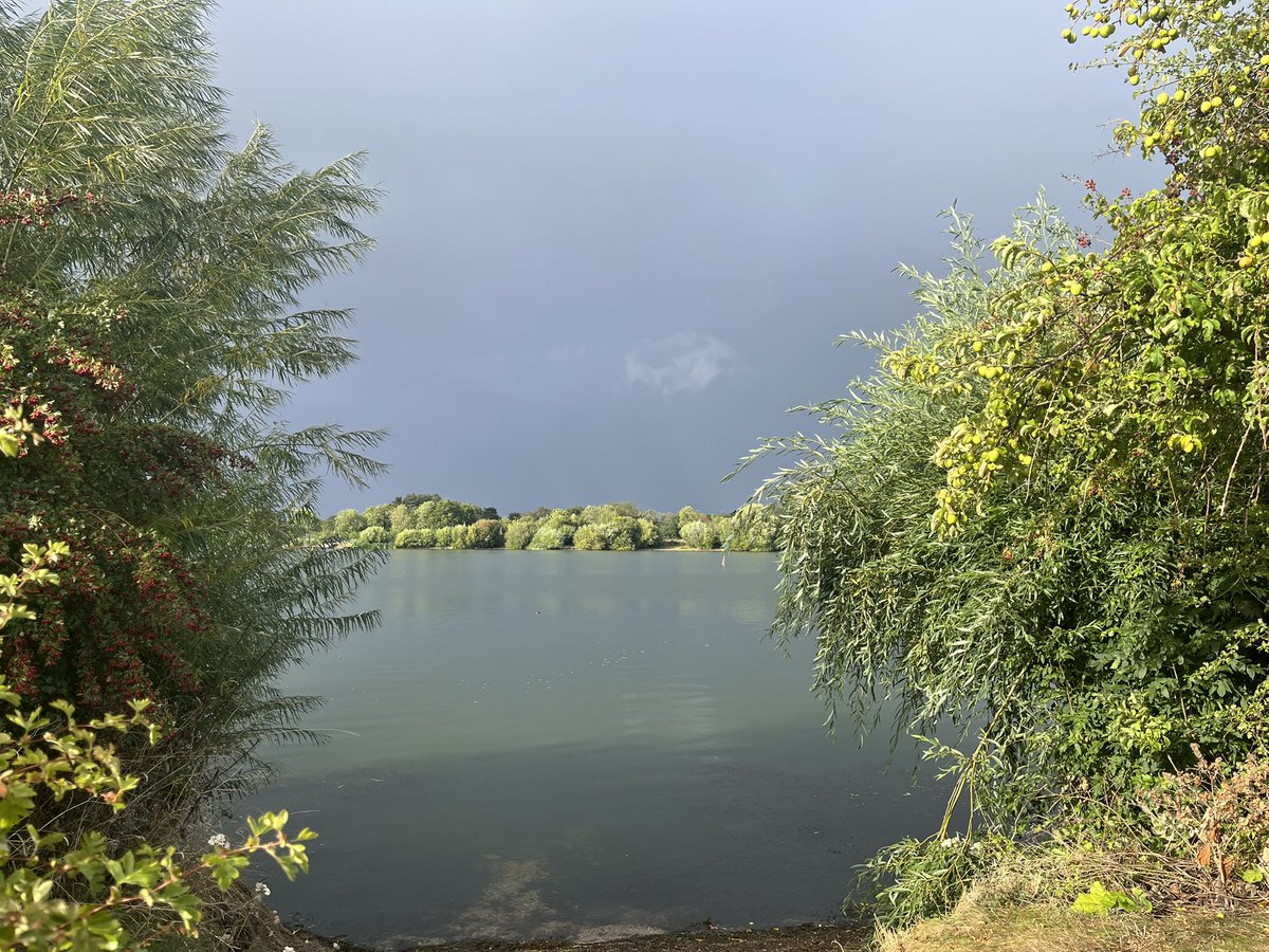 Frampton pools first Water Rail of the autumn 1 Common Sandpiper 1 Cattle Egret 3 Little Egret 6 Grey Heron 50+ Sand Martin 20+Swallow 10+House Martin 4 Lesser Whitethroat 1 Willow Warbler 32 Chiffchaff 2 Spot Flycatcher 1 Wigeon 6 Teal 43 Gadwall 19 Tufted Duck #GlosBirds