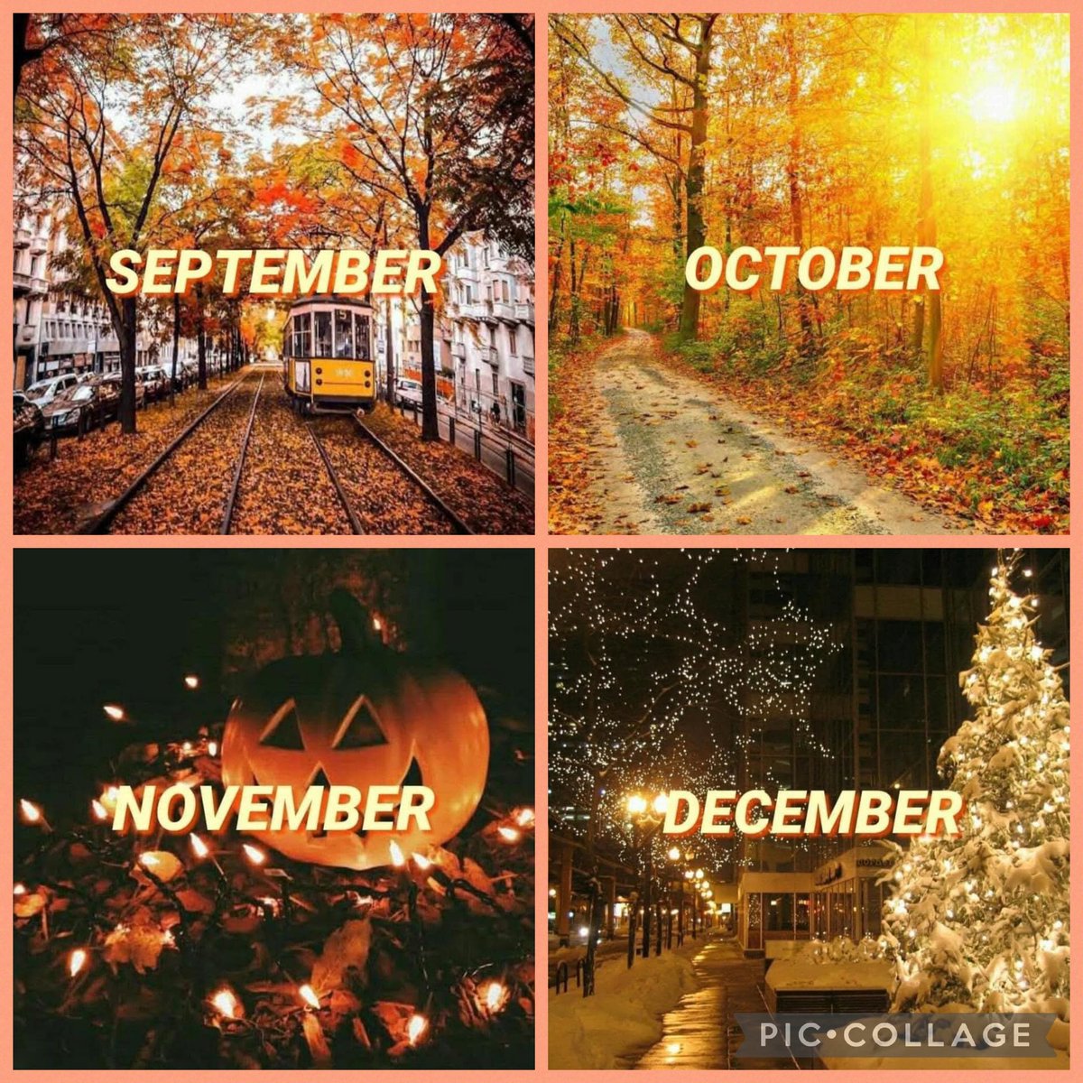 's tweet image. I LOVE the 'ber months... 🤩🍁🍂🎃🎄 #MyFavouriteTimeOfYear

#artistsonx #maninpaint #80sbaby #geek #geekartist #geekart #proudgeek #geeklife #retrogeek #art #artcommunity #artmeme #artjoke #artists #creative #creativity #artistic #positivevibes