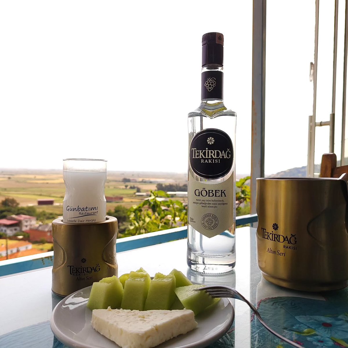 Tiyatroya, operaya gitmek, akşamüstü iki duble rakı içmek lüks değil. Yaşadığınız kentin dışında kentler görmek, yerin dibinde olmayan evlerde kalmak lüks değil. Evde kütüphane kurmak, kitaplar, plaklar almak  lüks değil. Tüm bunlar, asgari yaşam. Çünkü ölmemek, yaşamak değil.