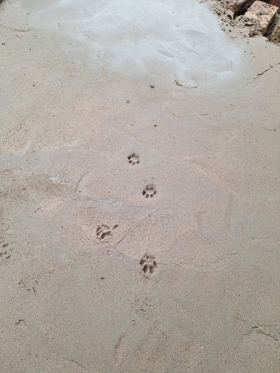 Vīrs betonēja terasi. Visu laiku šo gaidījām, līdz vakar sagaidījām. 😄 Bet nu nepalika jau šādi, lai gan man pat patiktu. 🤭