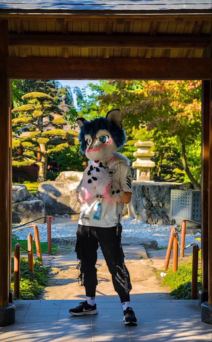 I'm gonna be at #eurofurence again this year so if you wanna come over and say hi please do so :3

✅ Hug me
✅ Give head pats &gt;:3
✅ Bring nuggies

❌ Spawn behind me (I'm kind of a scaredy cat &gt;///&lt;)
❌ Grope or touch inappropriately